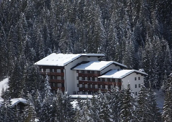 Residence Edelweiss San Martino Di Castrozza